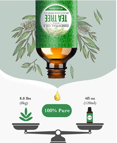 MPOW - Homasy 120ml 100% Pure Tea Tree Essential Oil HMHM616