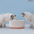BASEUS Smart Pet Water Dispenser Lotis Y1 - ACLY00000