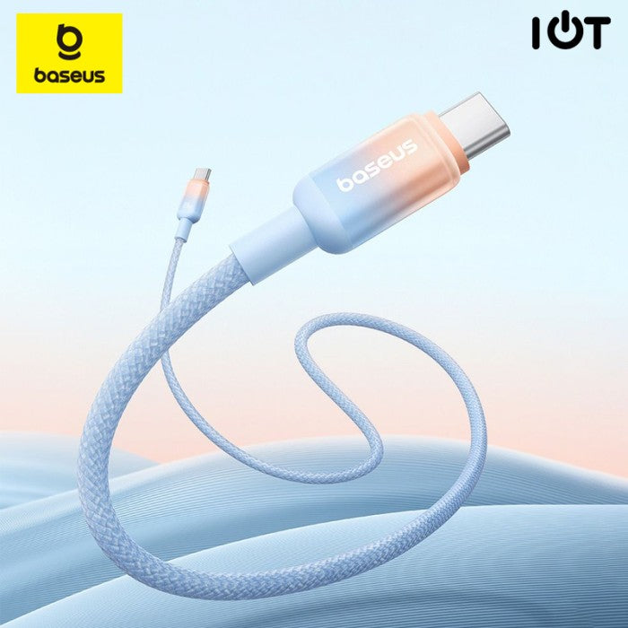 Baseus Discolor Series Fast Charging Cable Type C to C 100W