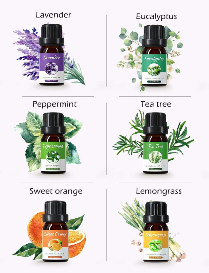 MPOW - Homasy Floral Essential Oils Set 10x10ML HMHM647