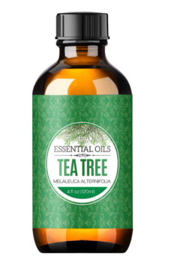 MPOW - Homasy 120ml 100% Pure Tea Tree Essential Oil HMHM616