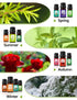 MPOW - Homasy Essential Oils Gift Set (16Pcsx5ml) HMHM565