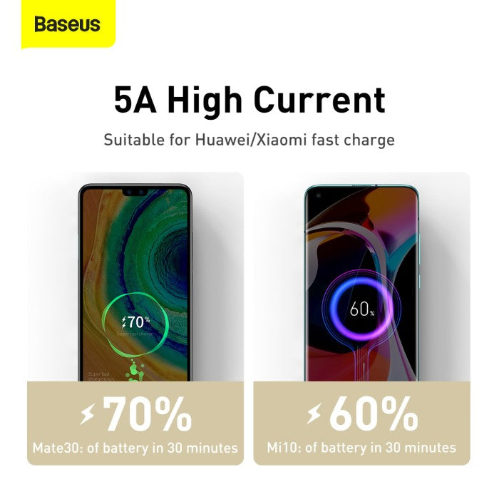 BASEUS Cafule Series Metal Data Cable C to C 100W 1m -CATJK-C