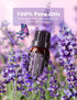 MPOW - Homasy Essential Oils Gift Set 12pcs x 10ml - VTHM647