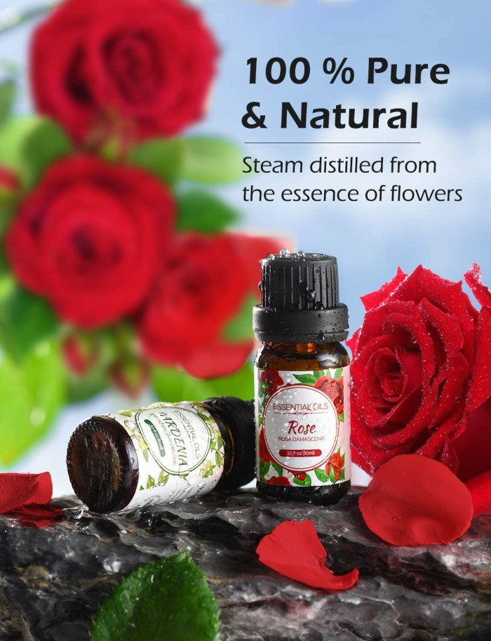 MPOW - Homasy Floral Essential Oils Set 10x10ML Gift Set HMHM646