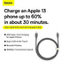 BASEUS Liquid Silica Gel Fast Charging Cable Data C to iP 20W CAGD02